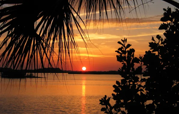 Картинка природа, река, вечер, sunset, Indian river, bigstock