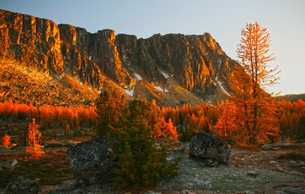 Картинка скала, горы, Pasayten, природа, Wilderness, США