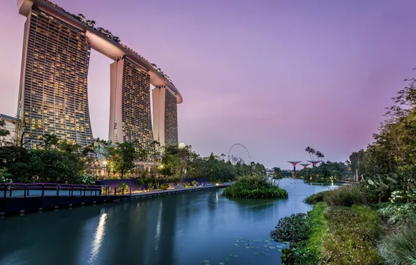 Картинка деревья, огни, пруд, парк, вечер, фонари, Сингапур, небоскрёбы