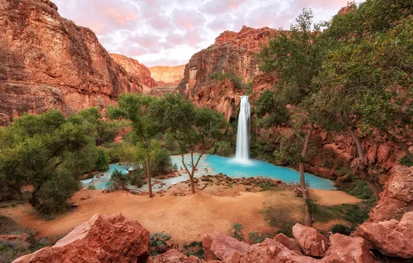 Картинка деревья, природа, река, скалы, водопад, каньон, аризона, havasu falls