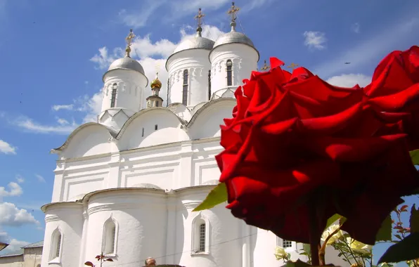 Лето, цветы, розы, Храм