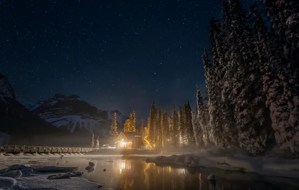 Картинка зима, лес, небо, звезды, снег, деревья, горы, ночь