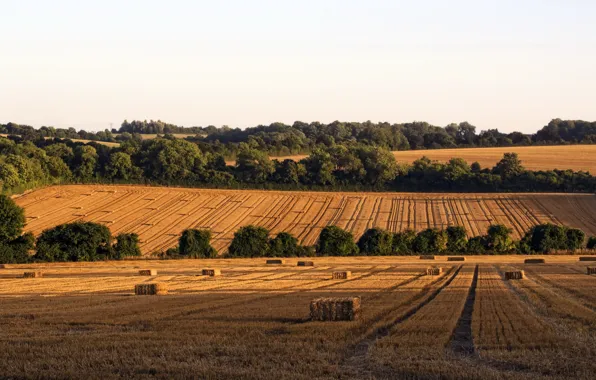 Картинка природа, фото, поля, Англия, сено, Hampshire