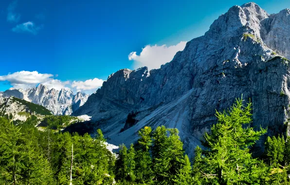 Картинка деревья, скалы, гора, Словения, Краньска