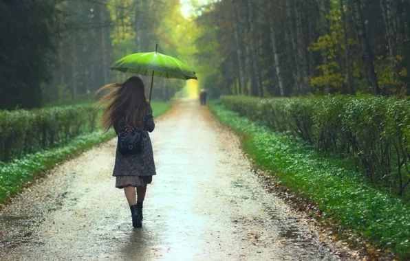 Картинка дорога, девушка, деревья, дождь, зонт