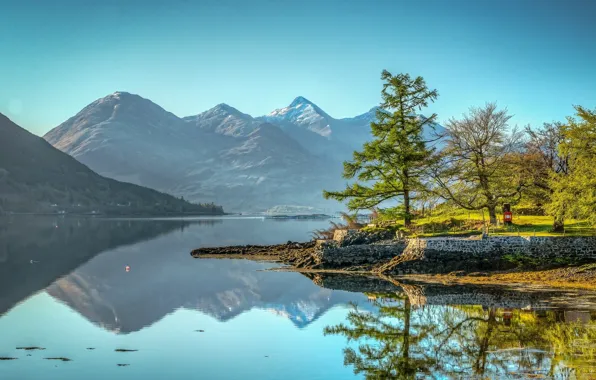 Деревья, горы, озеро, отражение, Шотландия, Scotland, Кинтайл, Lake Loch Duich