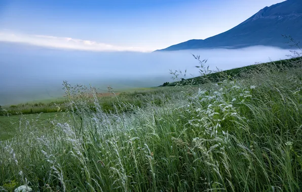 Зелень, поле, небо, трава, горы, туман, синева, склоны