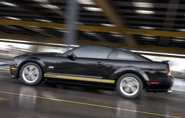 Mustang, Shelby, GT500