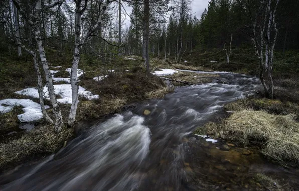 Картинка природа, река, Lapland, Spring time