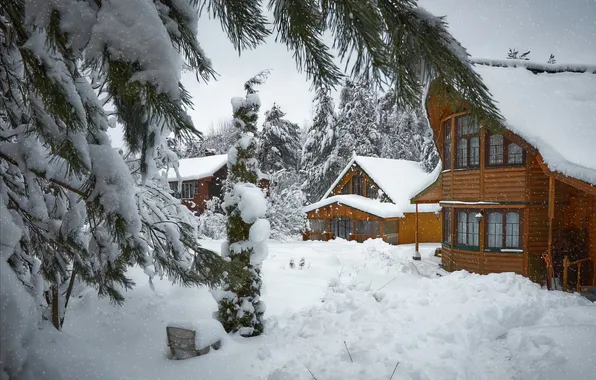 Дома, Зима, Лес, Winter, Snow trees, Forest, Houses, Снежные деревья
