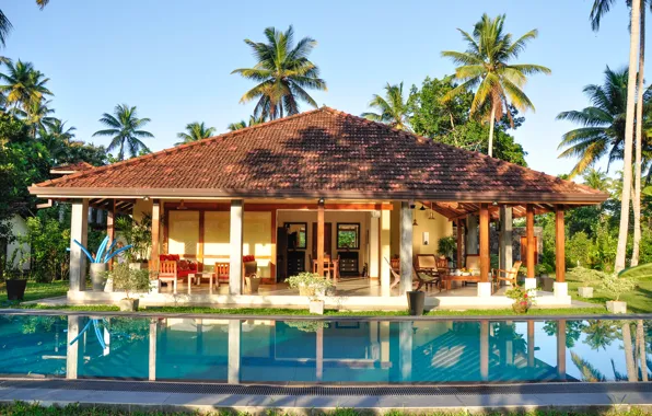 Картинка пальмы, дома, бассейн, House with Pool