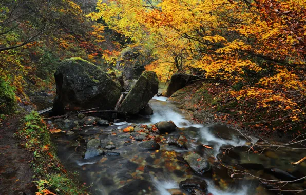 Осень, деревья, река, ручей, камни