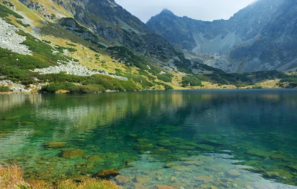 Горы, озеро, камни, скалы, Словакия, Tatras