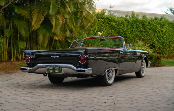 Ford, Форд, 1957, ретро автомобили, Thunderbird, retro cars, Ford Thunderbird E-Code, E-Code