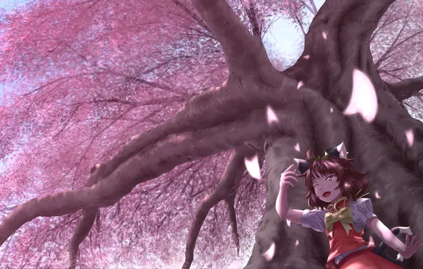 Картинка девушка, дерево, лепестки, сакура, арт, touhou, chen, yuyuibob