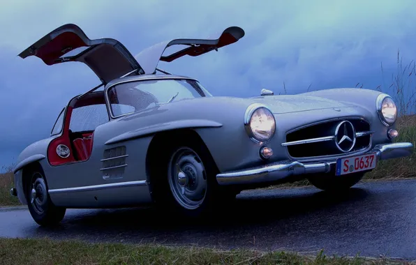 Мокрый, Mercedes-Benz, двери, мерседес, 300, крыло чайки, Gullwing