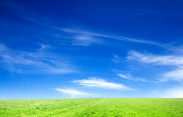 Картинка поле, небо, трава, природа, пейзажи