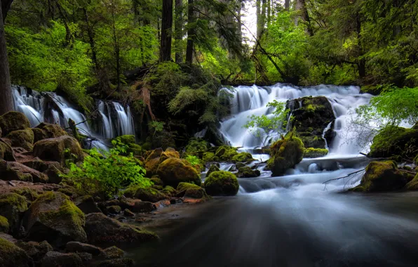 Картинка камни, панорама, лес, водопад