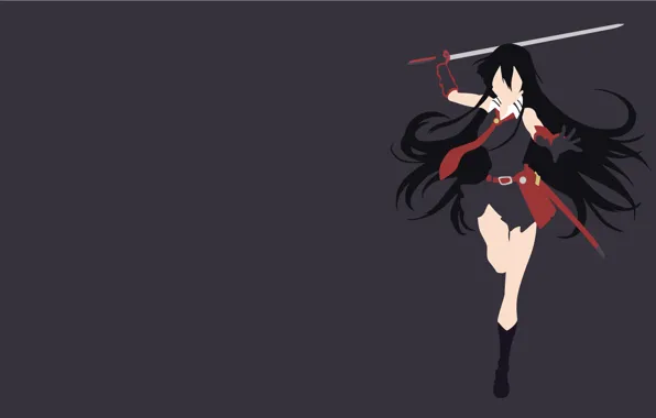 Минимализм, Akame, Akame ga kill, убийца Акаме, night raid