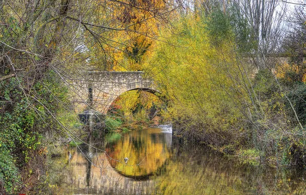 Картинка осень, деревья, мост, парк, арка, Испания, Сеговия