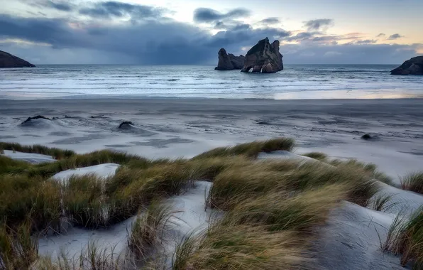 Море, природа, New Zealand, Wharariki Beach