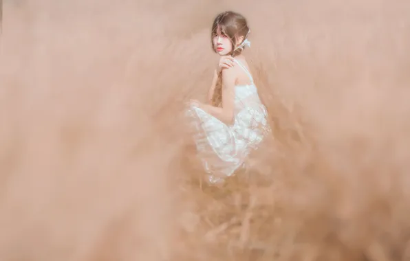 Grass, Beautiful, Asian, Model, Woman, Summer, Cute, Pretty