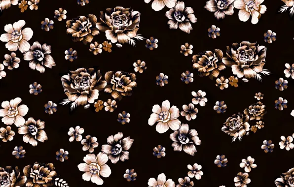 Цветы, фон, черный, коричневый, background, pattern, floral