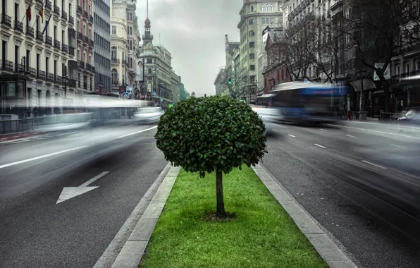Машины, город, движение, дерево, улица, дороги, выдержка, Европа