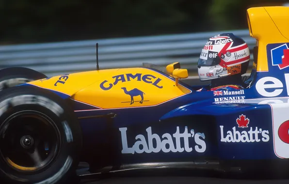 Williams, Nigel Mansell, Season 1992, GP Hungarian, FW14B