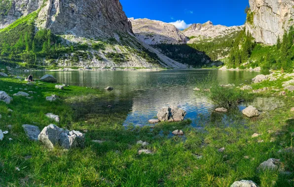 Зелень, трава, солнце, деревья, горы, озеро, камни, скалы