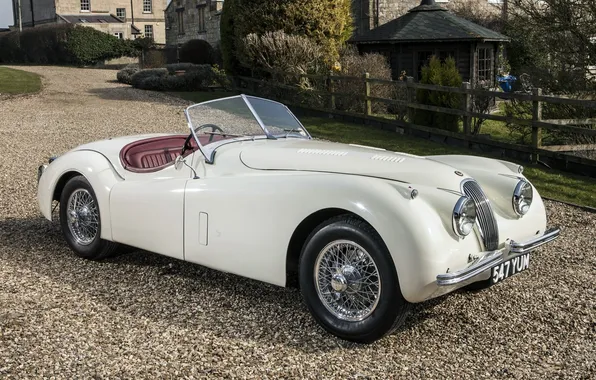 Белый, Roadster, Jaguar, Ягуар, родстер, XK120