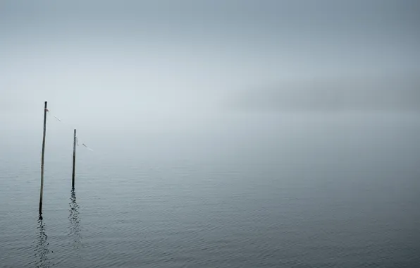 Туман, озеро, минимализм
