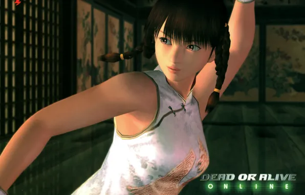 Комната, косички, азиатка, стойка, Dead or Alive, DoA Girls, Lei Fang