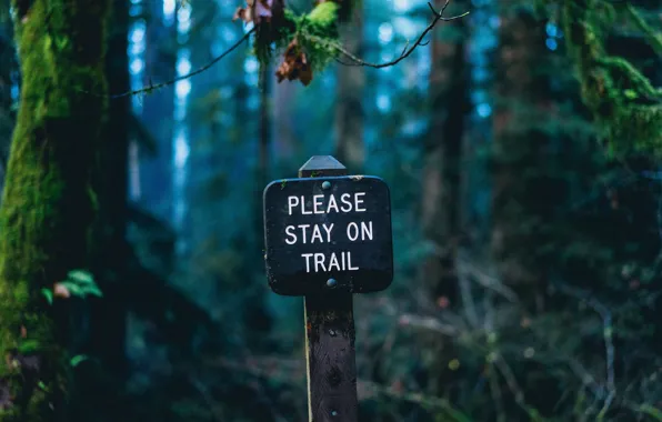 Картинка plate, nature, sign, forests, macro, blur, bokeh, inscription