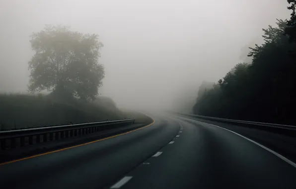 Картинка дорога, деревья, туман