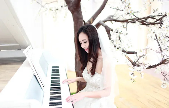Картинка девушка, музыка, азиатка, пианино, невеста