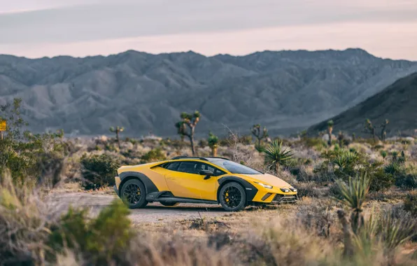 Картинка Lamborghini, yellow, Huracan, Lamborghini Huracan Sterrato