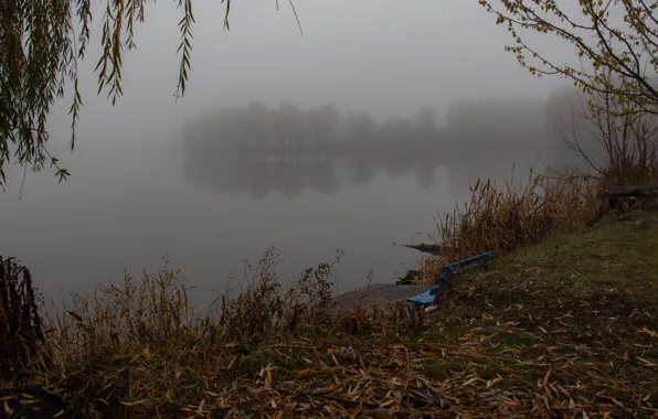 Туман, Осень, Река