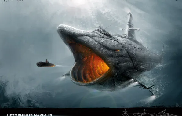 Картинка подводная лодка, 2D Work, геторхинус