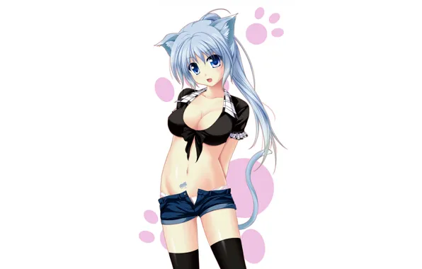 Картинка girl, sexy, cleavage, shorts, thighhighs, long hair, boobs, anime
