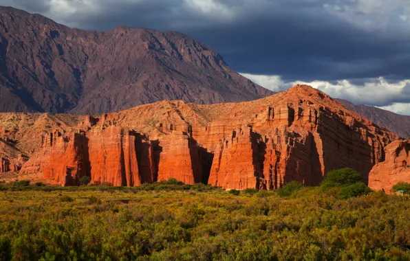 Облака, деревья, горы, скалы, Argentina, Аргентина, El Cafayate, Salta
