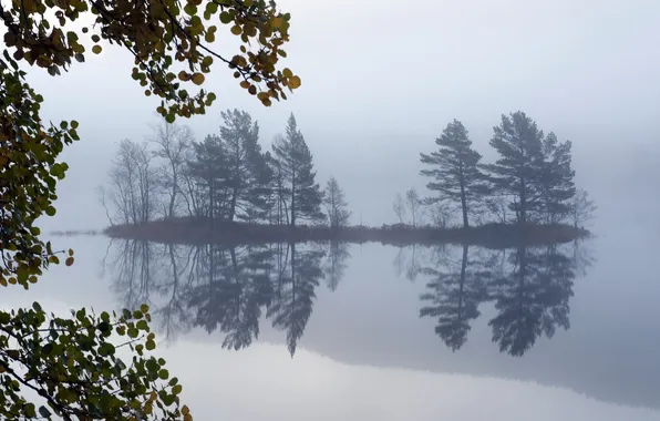 Картинка деревья, пейзаж, туман, озеро