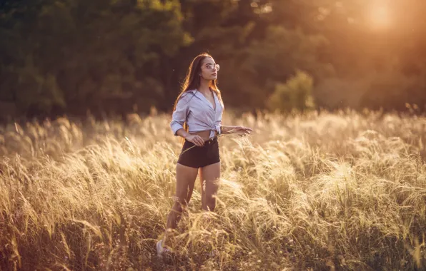 Картинка trees, nature, sunset, model, women, brunette, shirt, standing