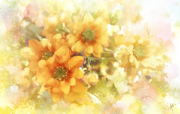 Картинка цветы, оранжевый, хризантемы