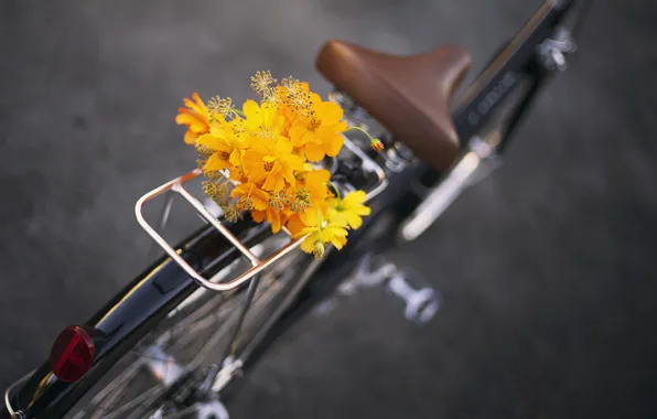 Цветы, велосипед, букет, bike, flowers, bouquet
