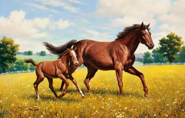 Картинка лошадь, луг, живопись, Arthur Saron Sarnoff, жеребёнок