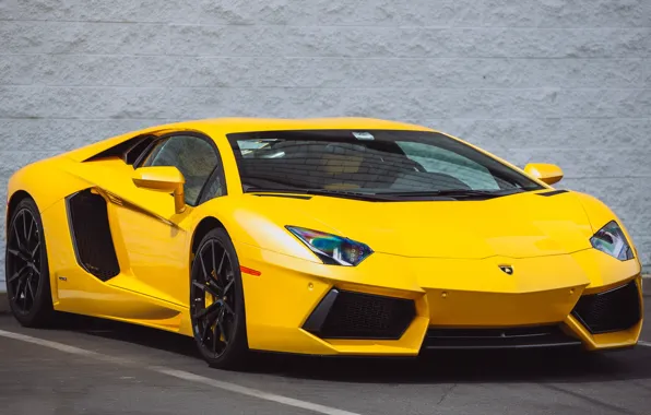 Картинка wall, lamborghini, aventador, yellow