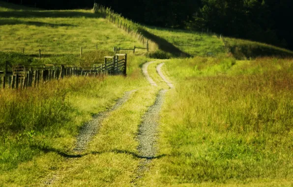 Картинка дорога, поле, лето, пейзаж, ограда