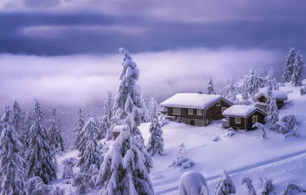 Картинка зима, облака, снег, деревья, пейзаж, горы, природа, дома