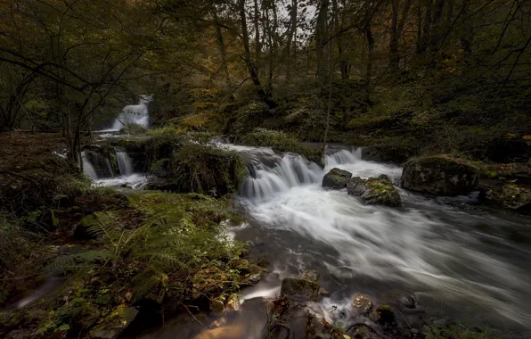 Лес, река, водопад, Испания, каскад, Spain, Cantabria, Кантабрия